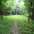 ⑦西の丸跡