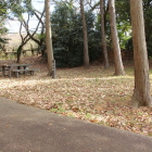 本丸と土塁