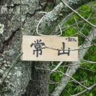 山頂（本丸）