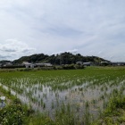 城址遠景