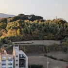八幡山古郭