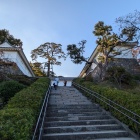 常盤木門