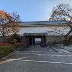 常盤木(本丸から)