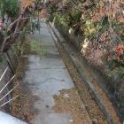 薬師堂趾近くの水路