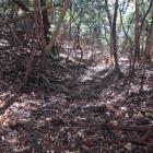西城・南辺の横堀と土塁