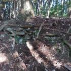 主郭南面の石積み