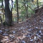 北東尾根の堀切
