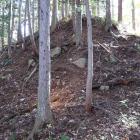 主郭櫓台の石垣