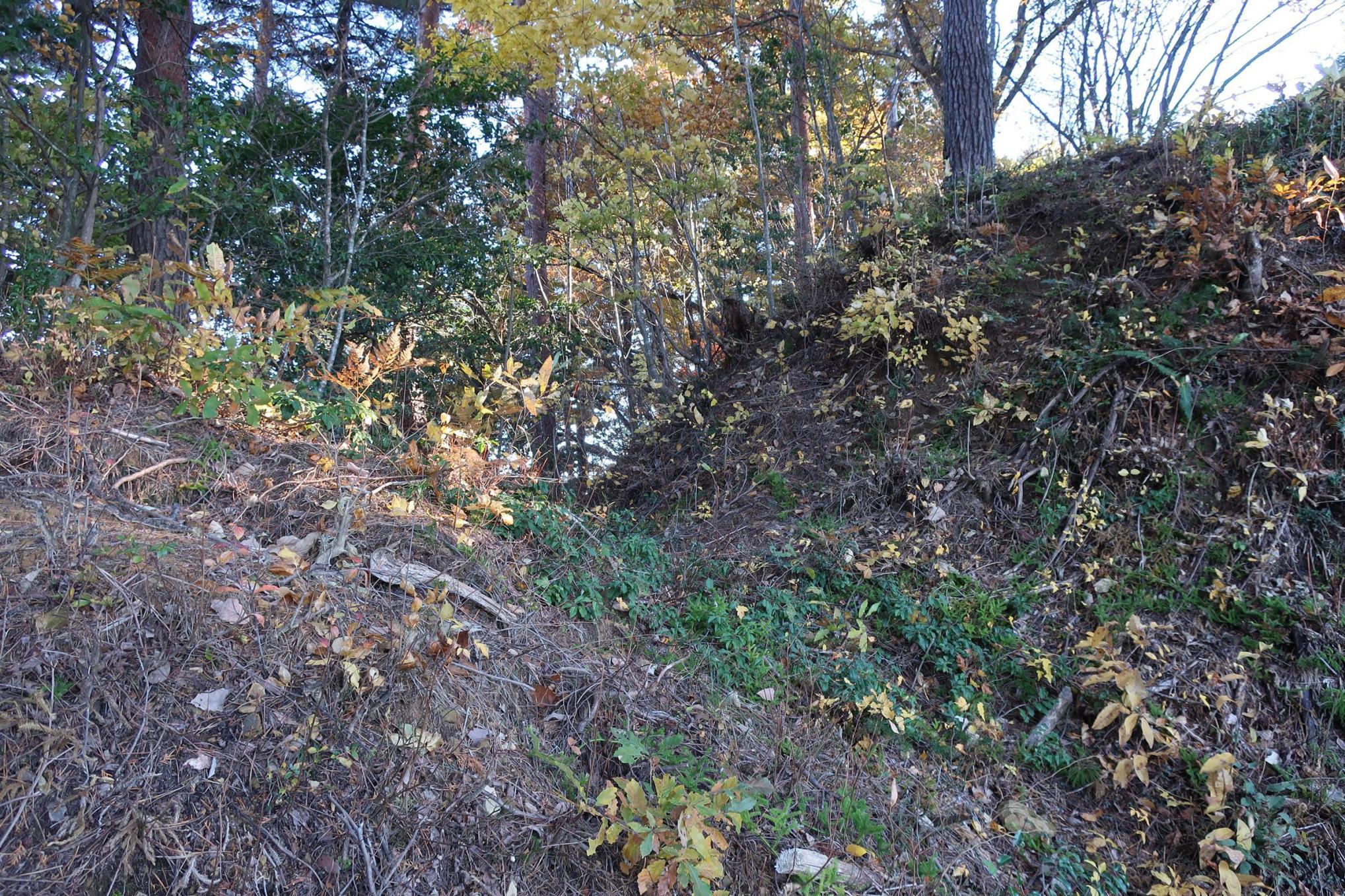 北尾根の堀切