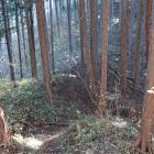 出丸への尾根筋の土塁