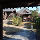 山門越しに覗くのみ