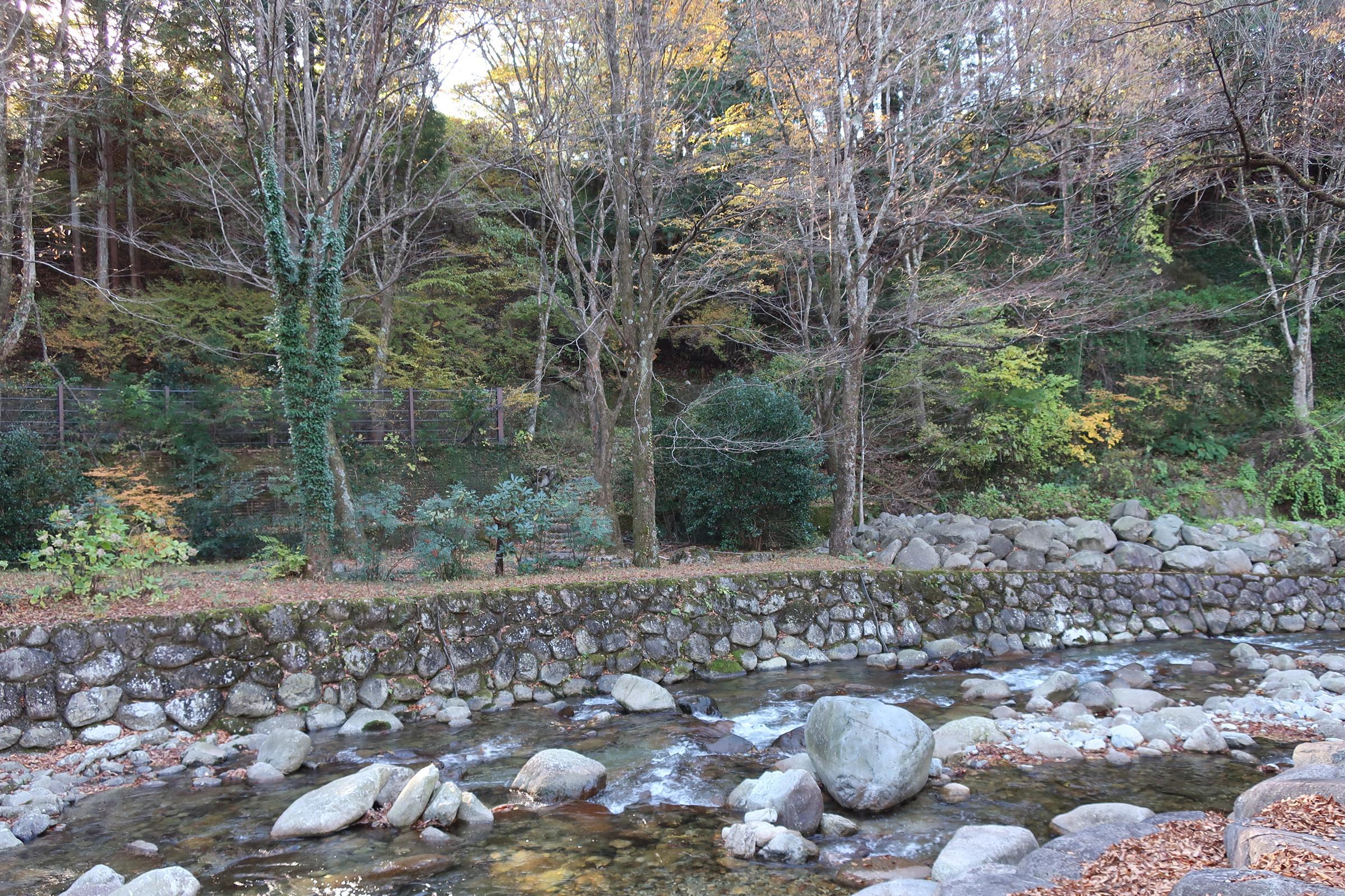 桜谷公園から見上げる