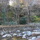桜谷公園から見上げる