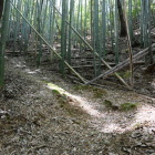 登城路