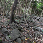 島津義弘陣