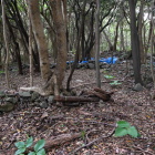 島津義弘陣