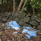 島津義弘陣