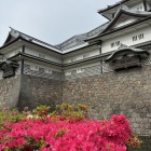 菱櫓