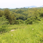 東尾根曲輪西笹ユリと静岡空港、霞んで富士山？