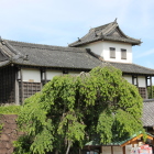 枝垂れ葉桜越しに太鼓櫓を望む