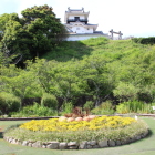 本丸花壇と天守閣
