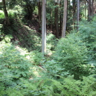 本曲輪土橋より内堀の北側