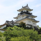 葉桜越しの天守閣