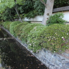 南側は水堀、土塁、白土塀の構