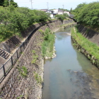 緑橋より逆川左右にカサブランカ百合が植栽