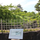 三日月堀越しに天守閣を望む