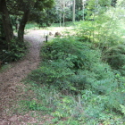 二の曲輪南馬出土橋