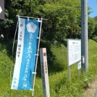 四国堀