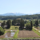 林の向こう側が弓庄城跡