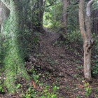 舗装路の脇に土の登城路