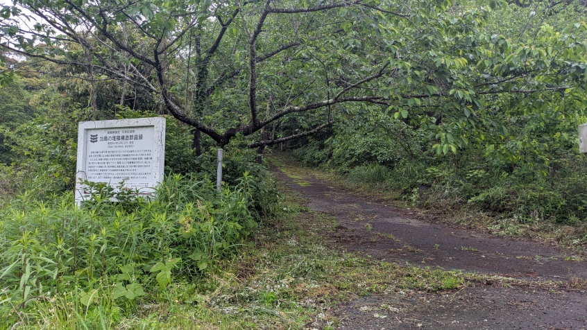 登城口