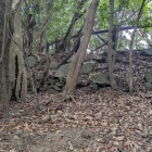 砲台跡の石積