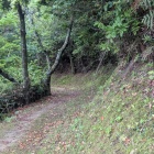 遊歩道、この先は恐らく眺望が良い