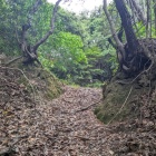 屋敷跡の通路跡?