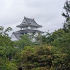 遊歩道から