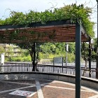 ⑧	官兵衛が見た藤の再現