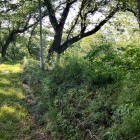 ①	天守台跡