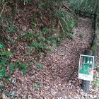 ③	登山口（歴史資料館前）