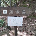 ③	この先からなだらかです