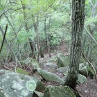 ⑨登城路(結構怖い)