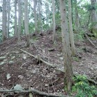 ④帯曲輪から本丸方面を見上げる