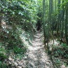 ⑦登城路(切通しみたいです)