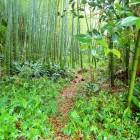 ⑥登城路