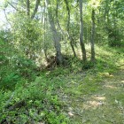 ⑩登城路