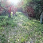 ⑤二の丸跡(蜘蛛の巣が写っています)