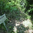 ⑨大筋竪堀